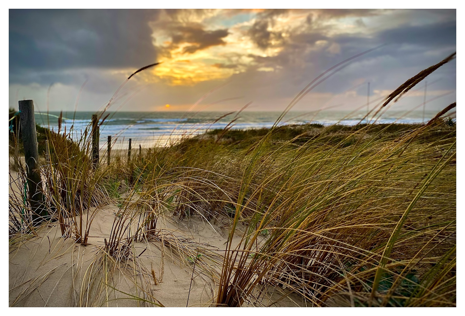 Sonnenuntergang in den Dünen von Montalivet